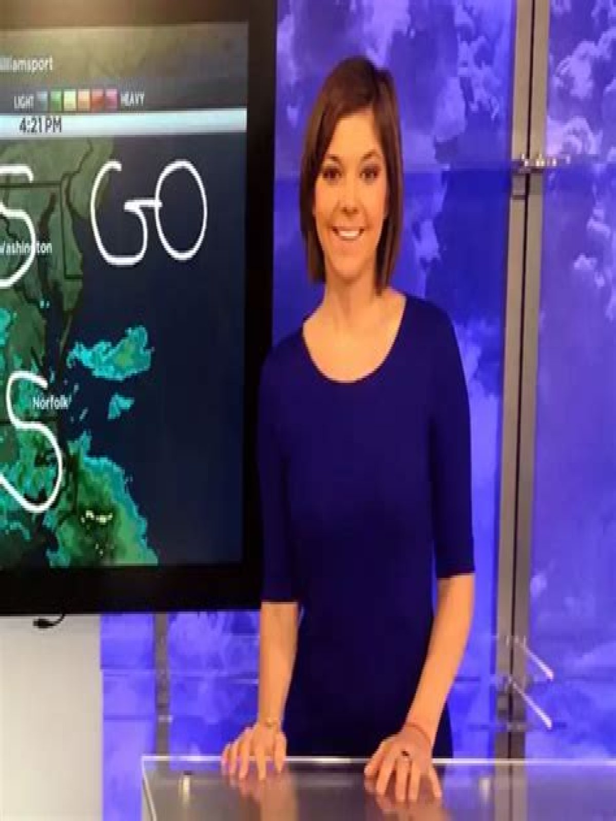 Amelia Segal Wiki, Biography, Wedding, Married, NBC 4
