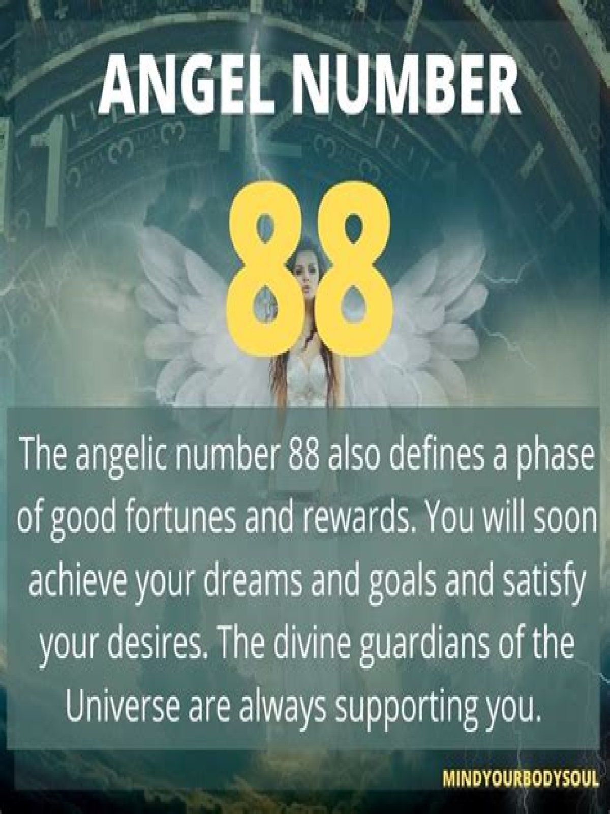 
ANGEL NUMBER 88
