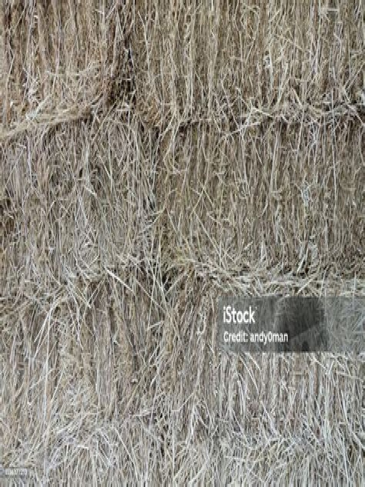 Dried grass used as fodder