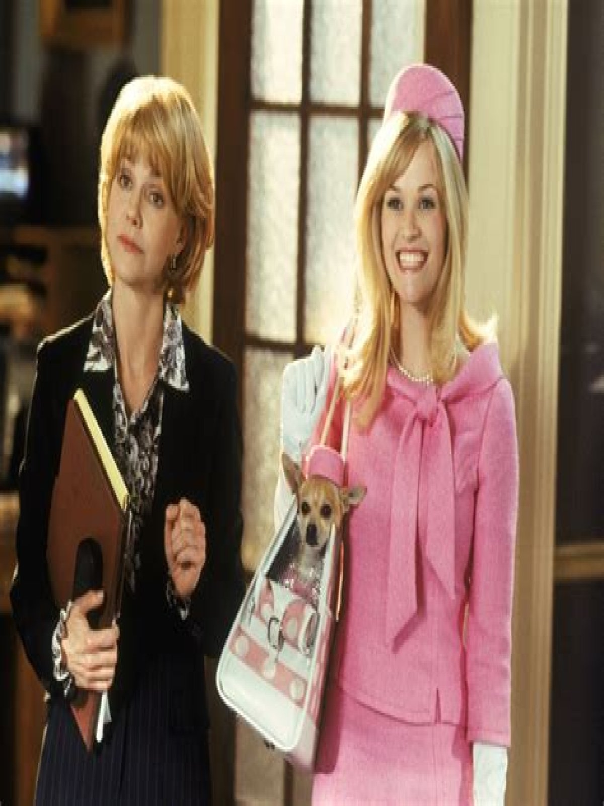 Legally Blonde for President? - CelebMix