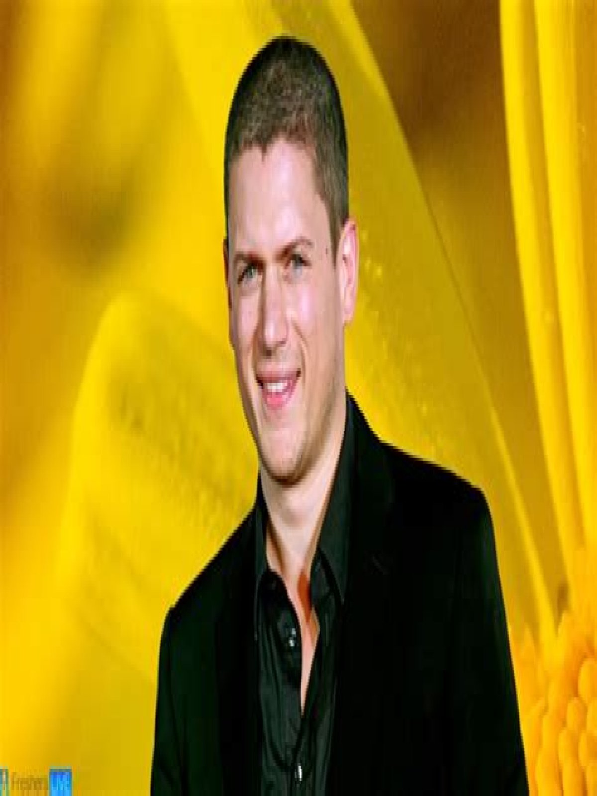 Wentworth Miller Net Worth in 2023 How Rich is He Now?